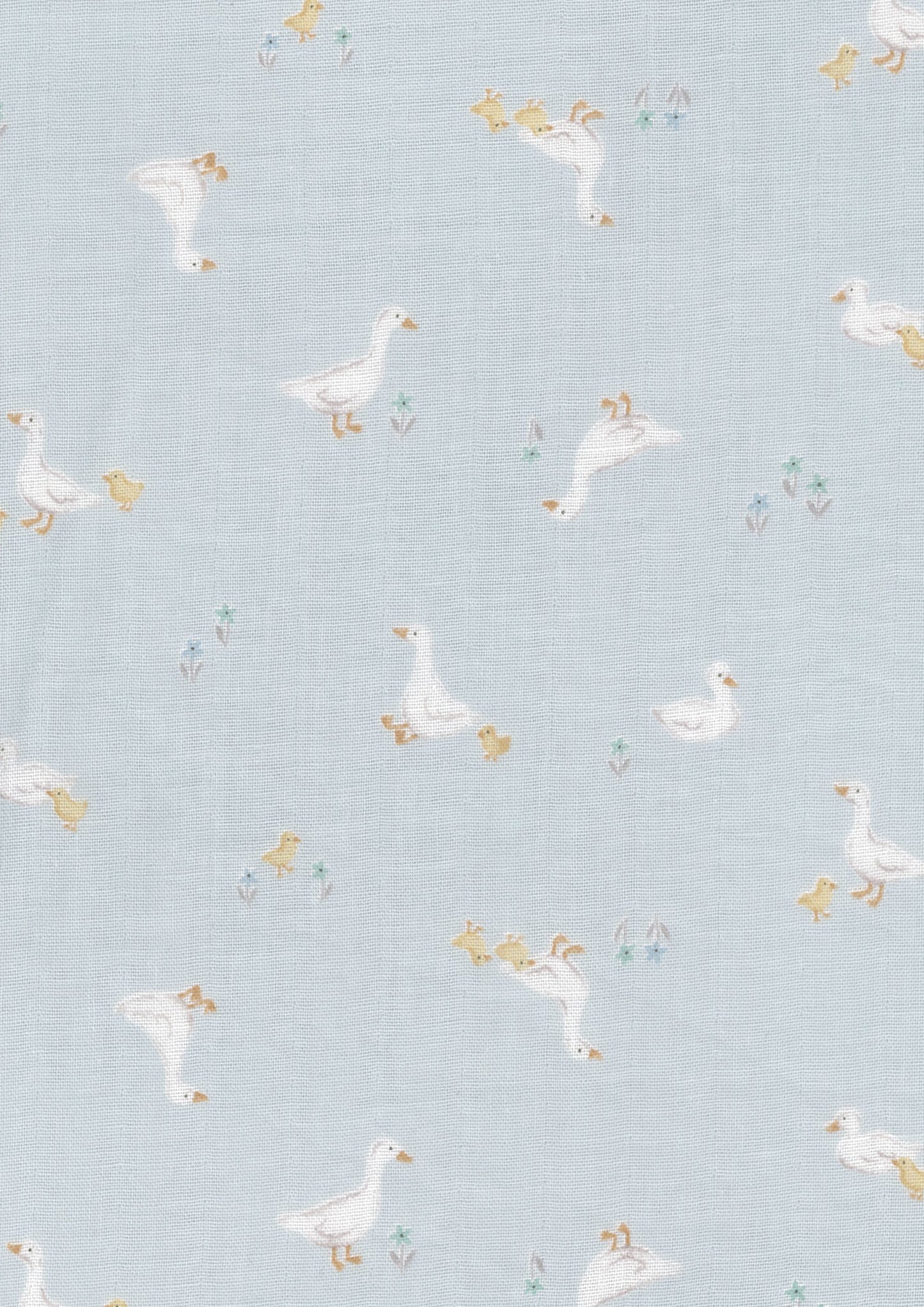 Royal Baby Ducks Double Gauze YPA-76000-2