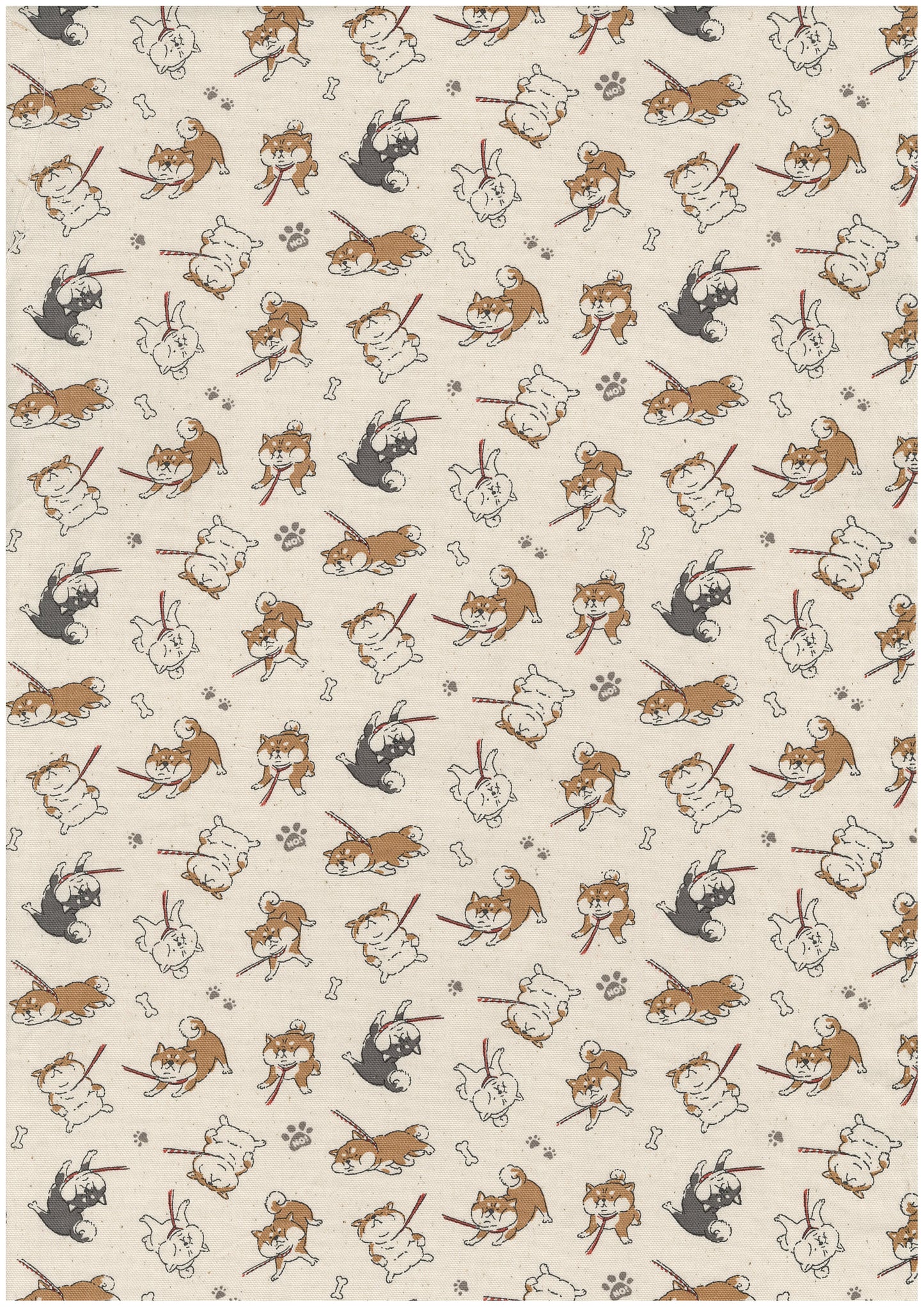 Funny Animal Strongwilled Shibas Oxford YPA-76020-2