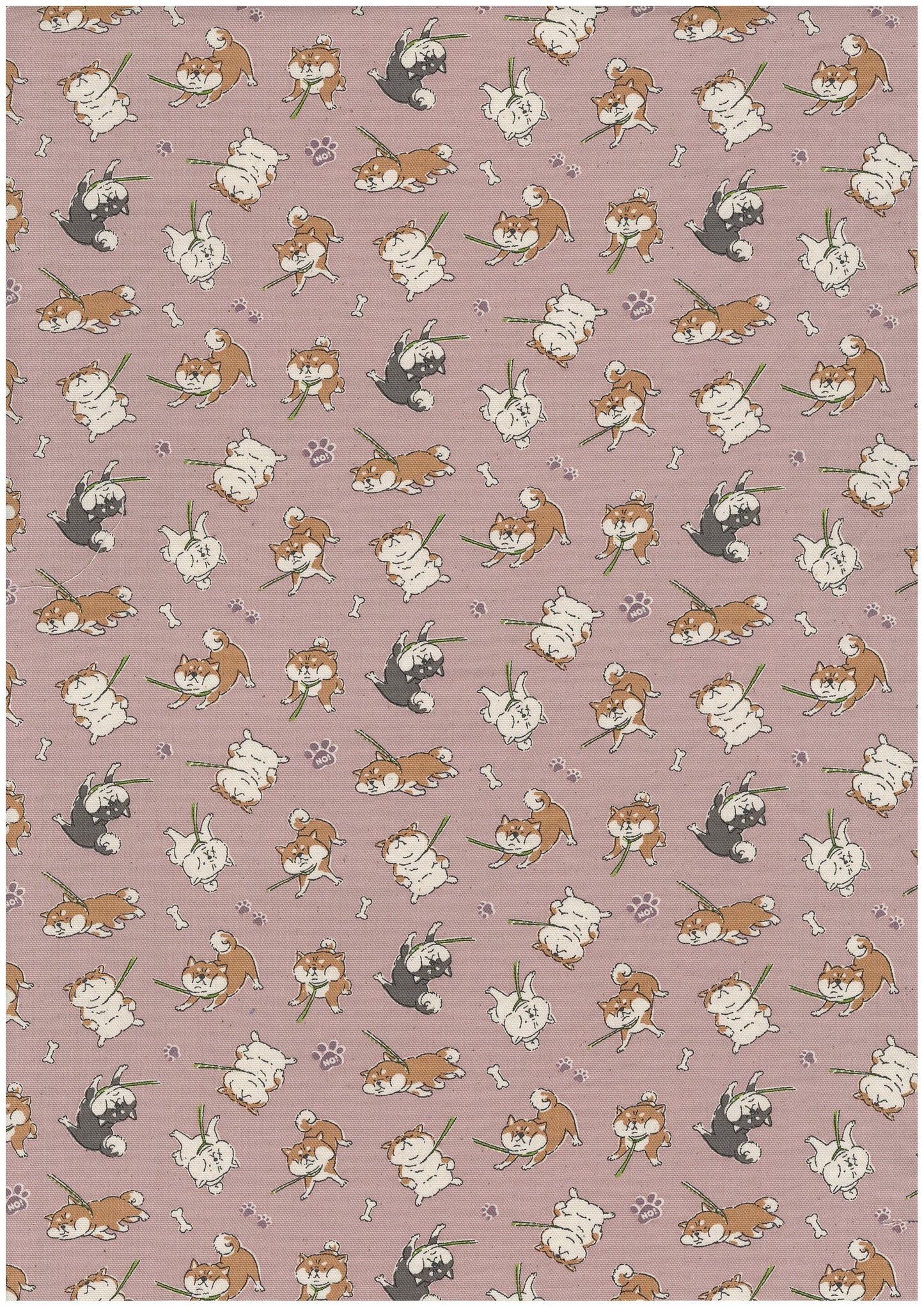 Funny Animal Strongwilled Shibas Oxford YPA-76020-2