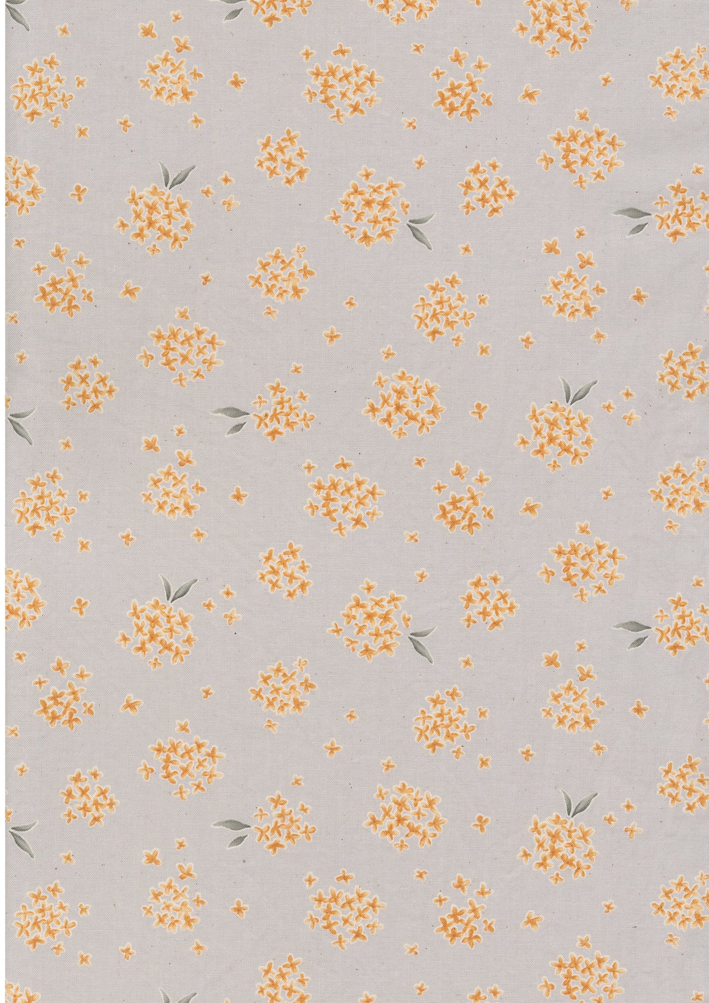 Tiny Bloom  Sheeting YPA-76030-1