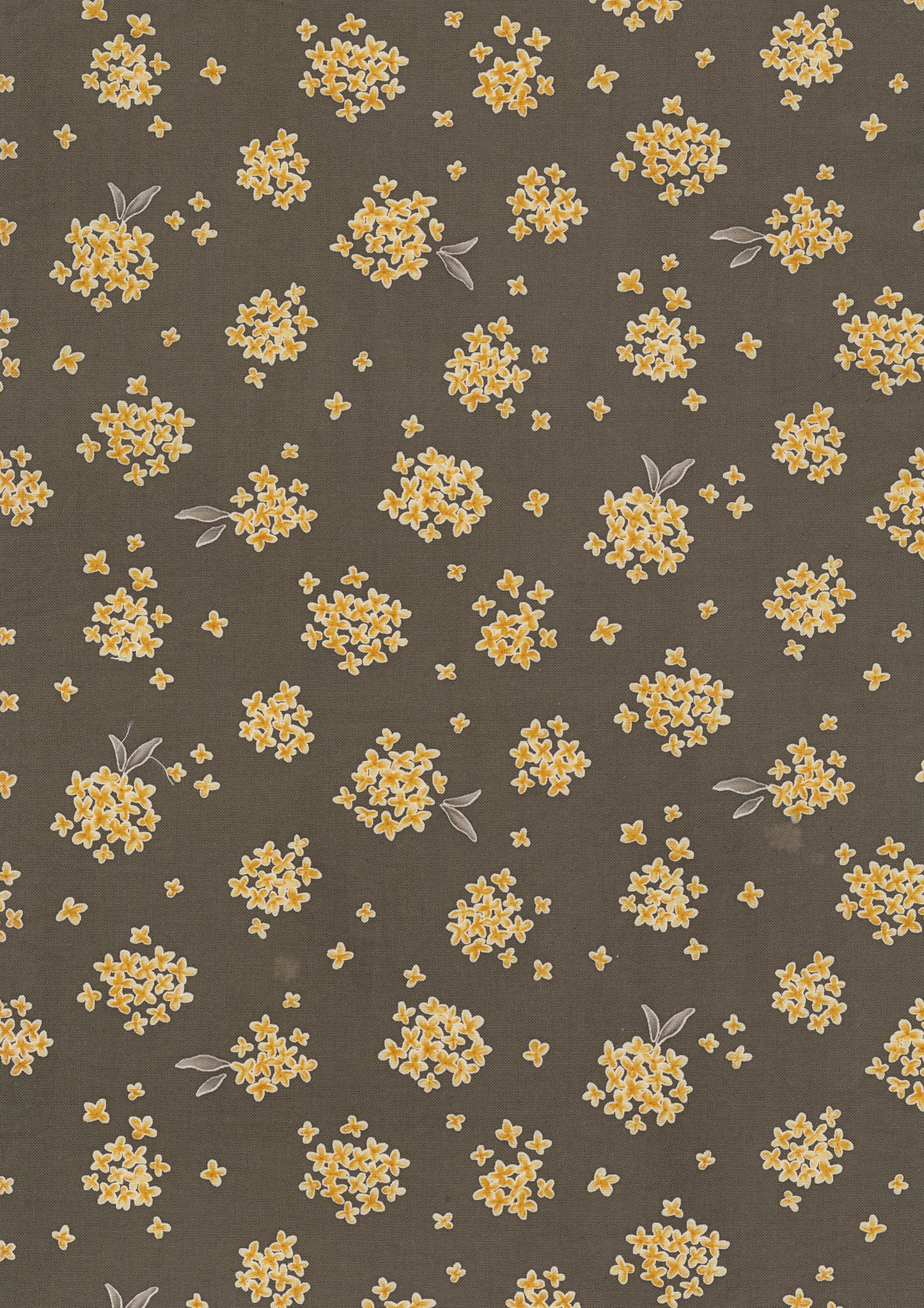 Tiny Bloom  Sheeting YPA-76030-1