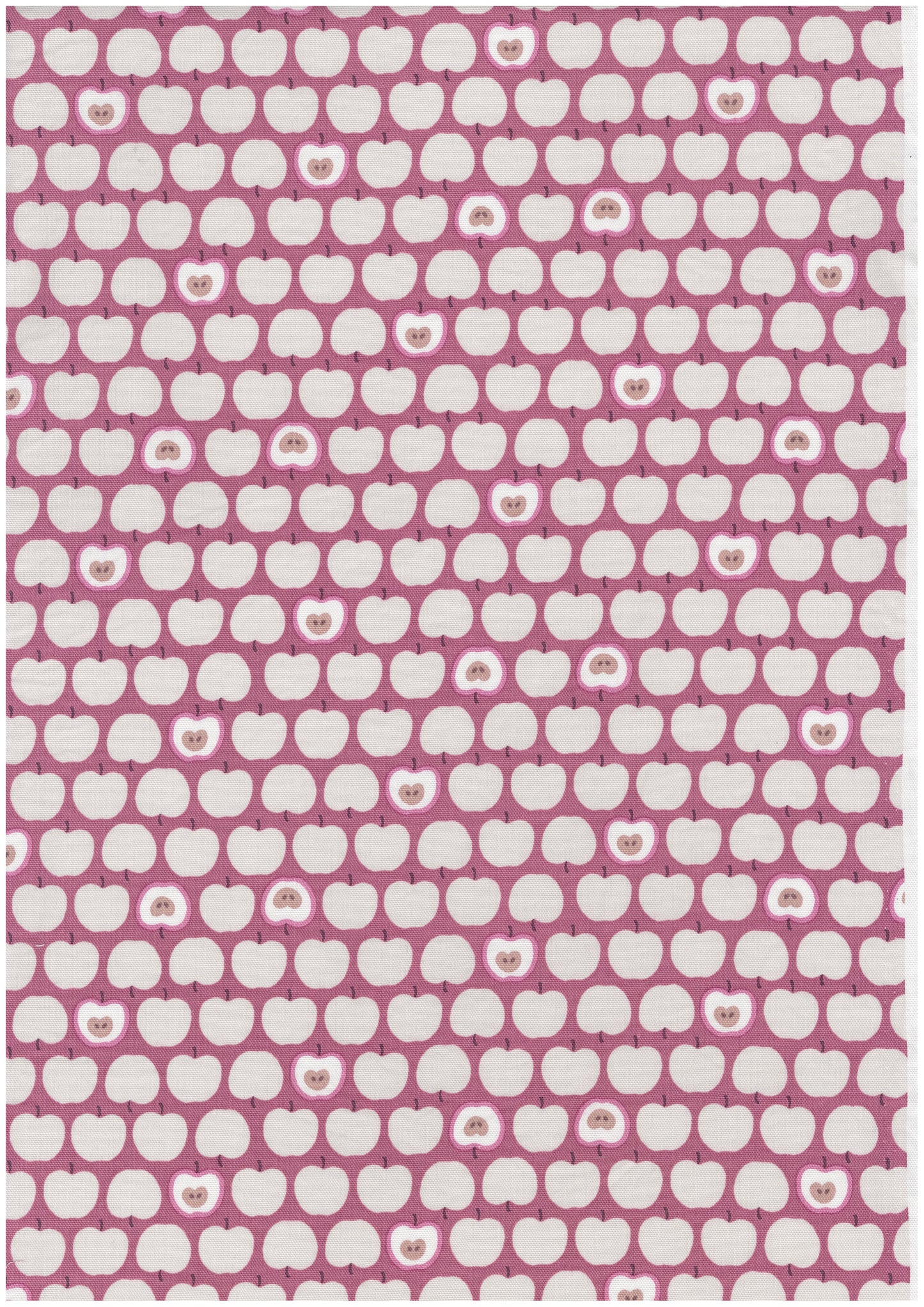 Simply Palette Apple Oxford YPA-76040-1