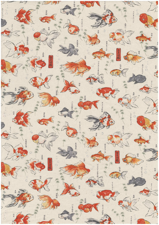 Japanese Goldfish Oxford YPA-76050-1