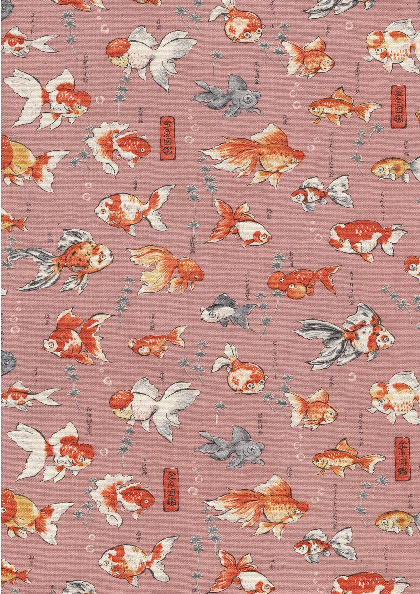 Japanese Goldfish Oxford YPA-76050-1