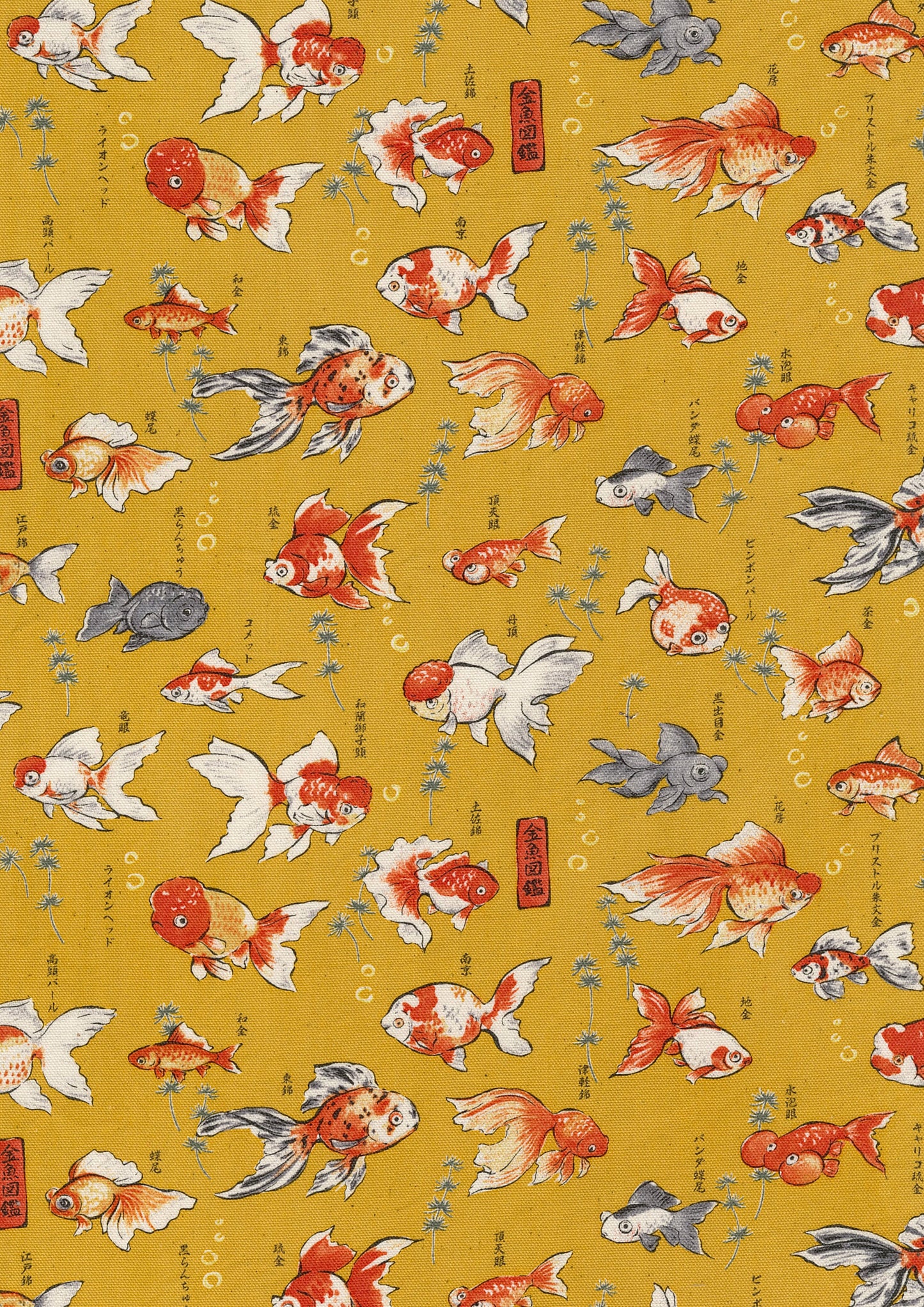 Japanese Goldfish Oxford YPA-76050-1