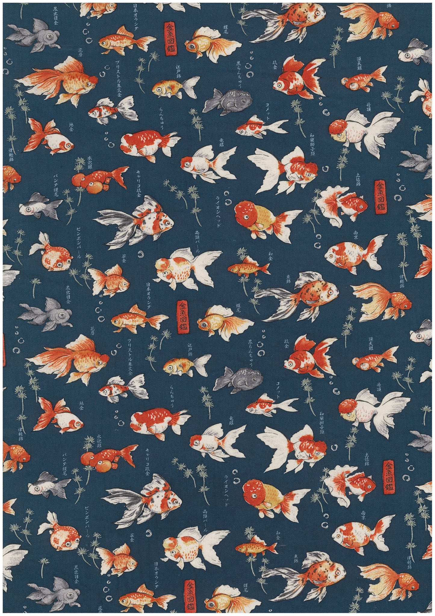 Japanese Goldfish Oxford YPA-76050-1