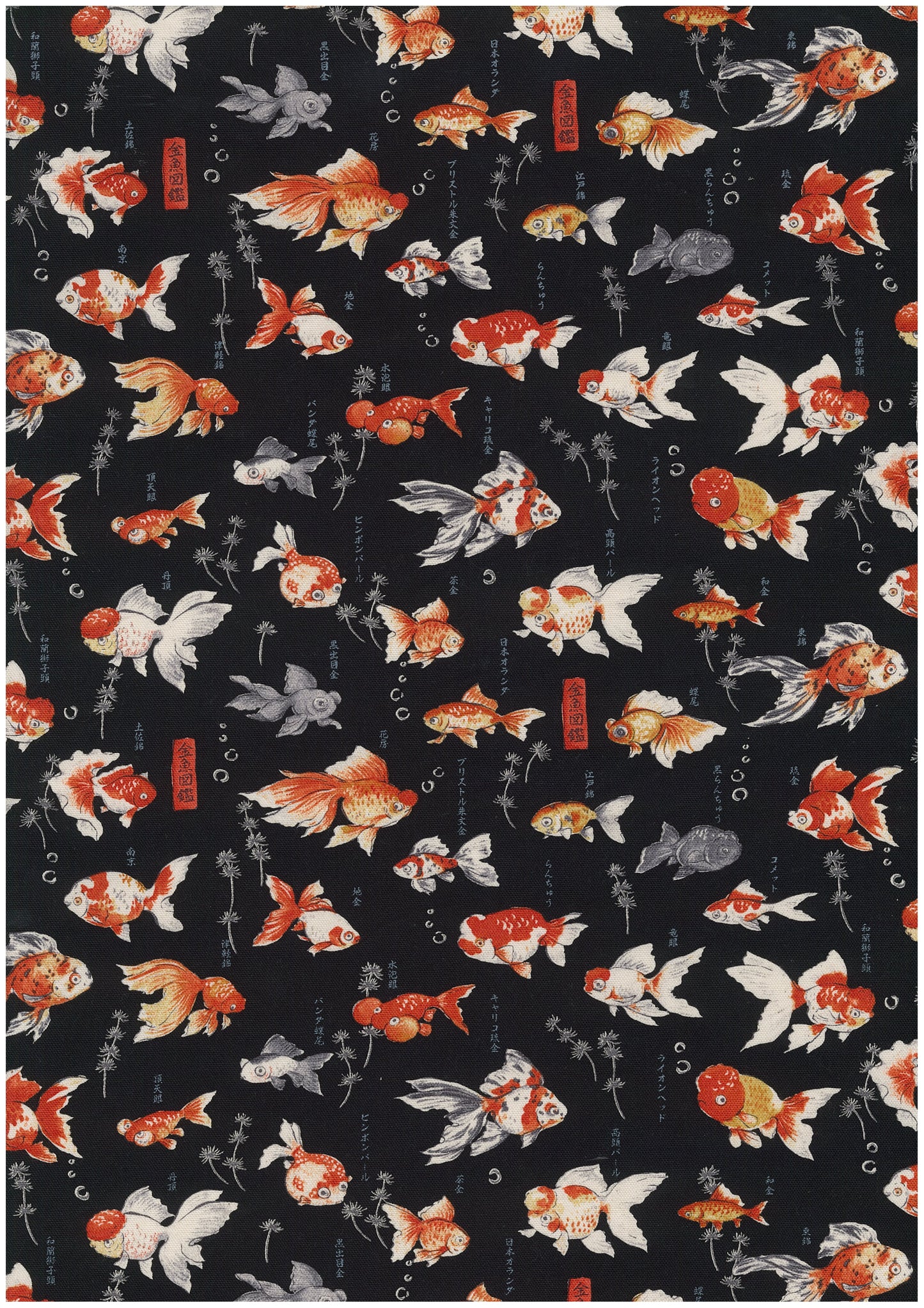 Japanese Goldfish Oxford YPA-76050-1