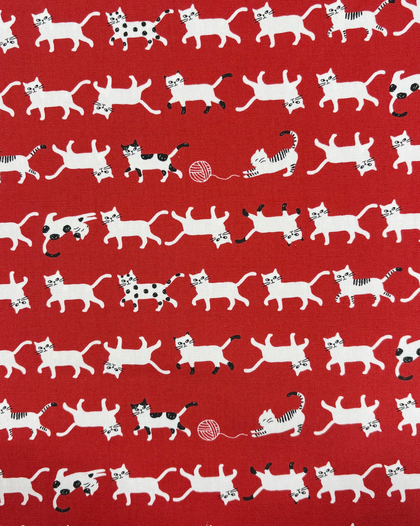 Simply Palette Cats Cotton Oxford YPA-69010-1