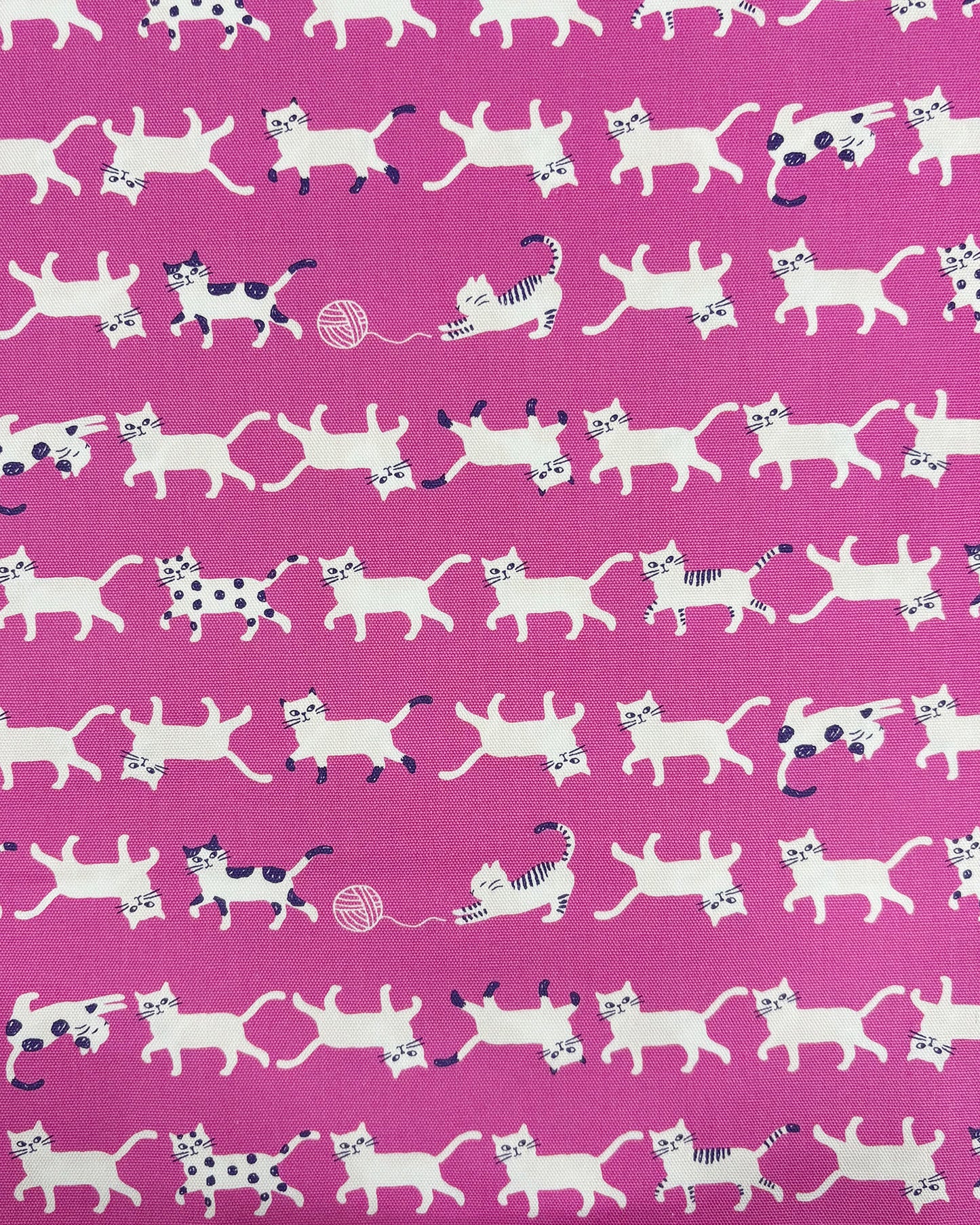 Simply Palette Cats Cotton Oxford YPA-69010-1