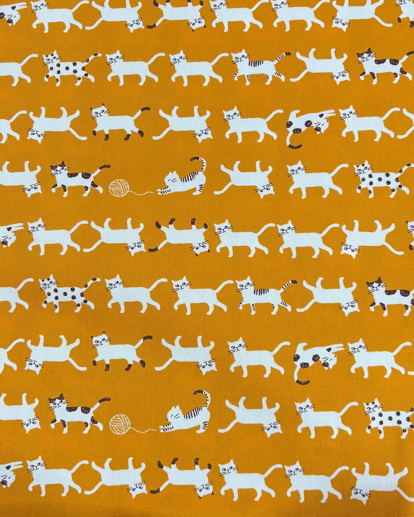 Simply Palette Cats Cotton Oxford YPA-69010-1