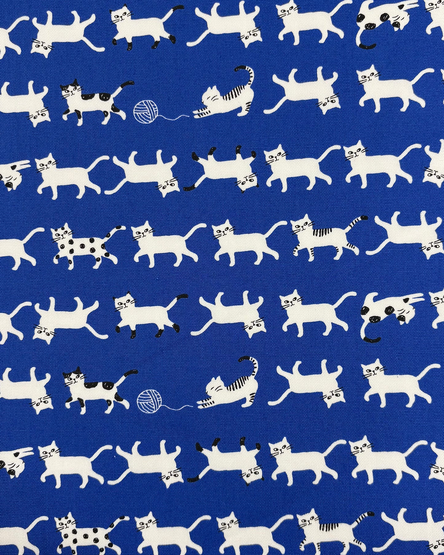 Simply Palette Cats Cotton Oxford YPA-69010-1