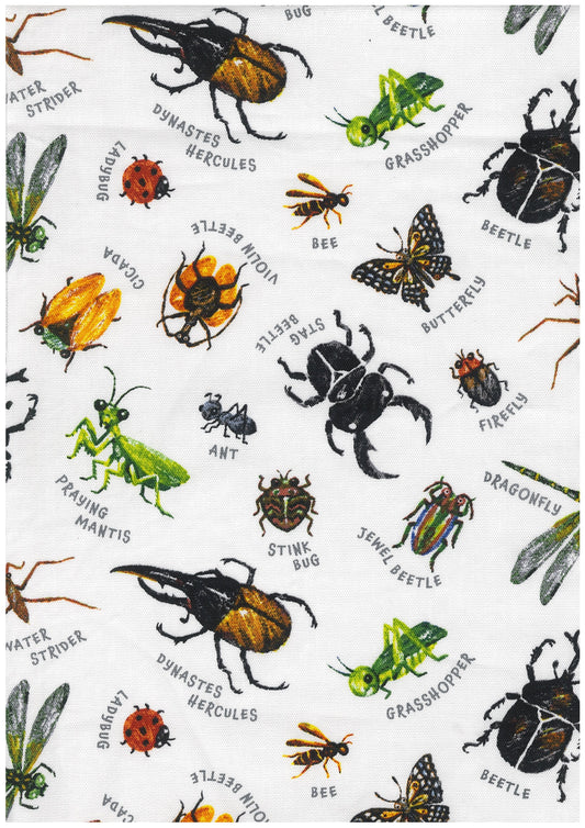 Manabu Beetles Cotton Oxford YQA-29000-1