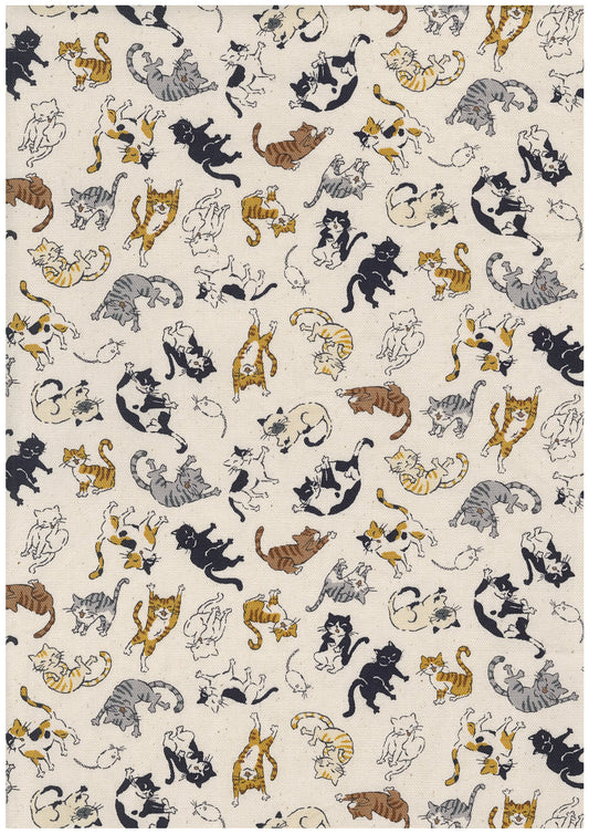 Kitties Cotton Oxford YQA-29010-1