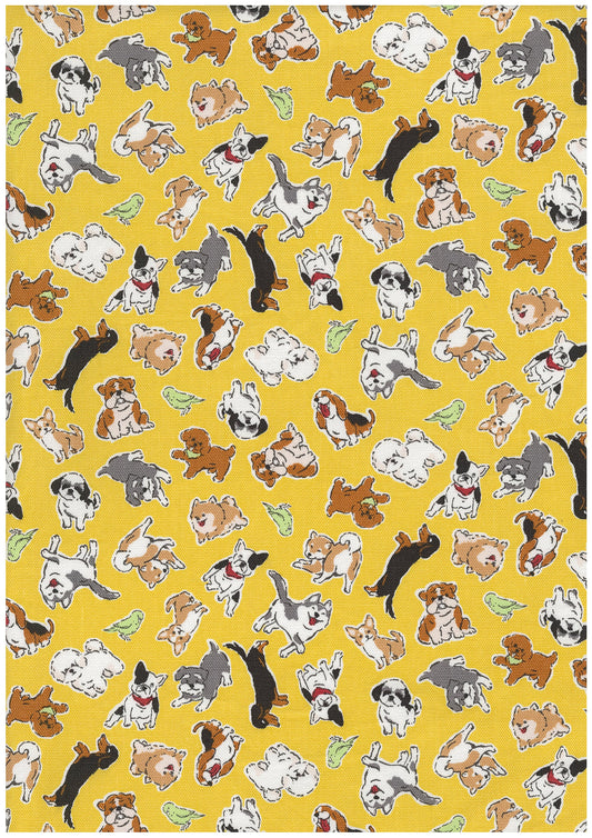 Puppies Cotton Oxford YQA-29010-2