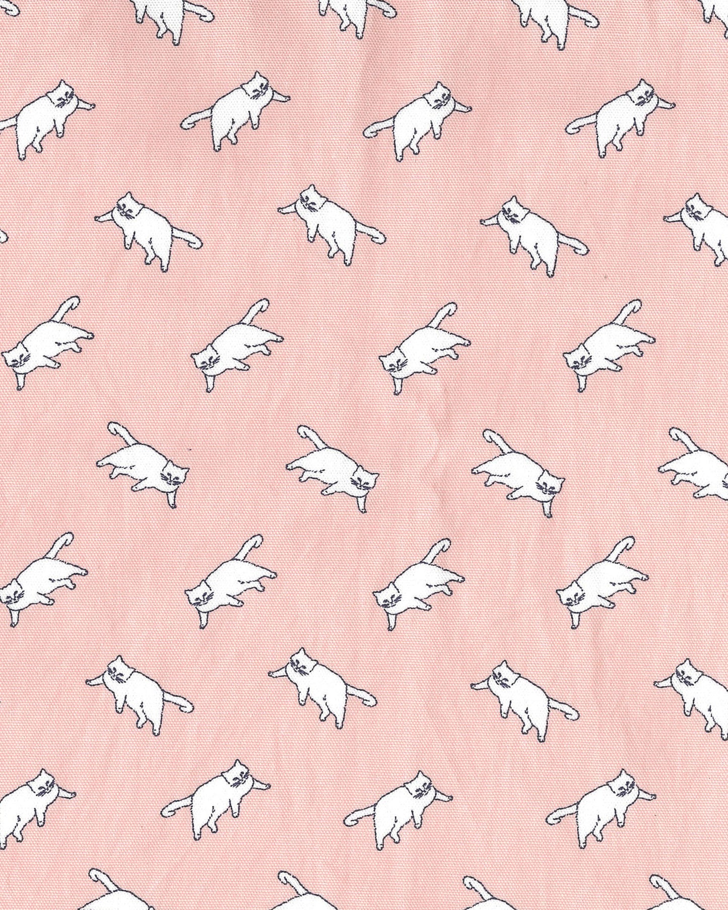 [Preorder Period: 24th March 2026] MUDDY WORKS Cat Organic Cotton Oxford EKX-152-1