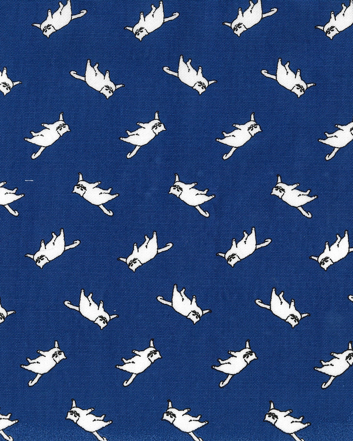 [Preorder Period: 24th March 2026] MUDDY WORKS Cat Organic Cotton Oxford EKX-152-1