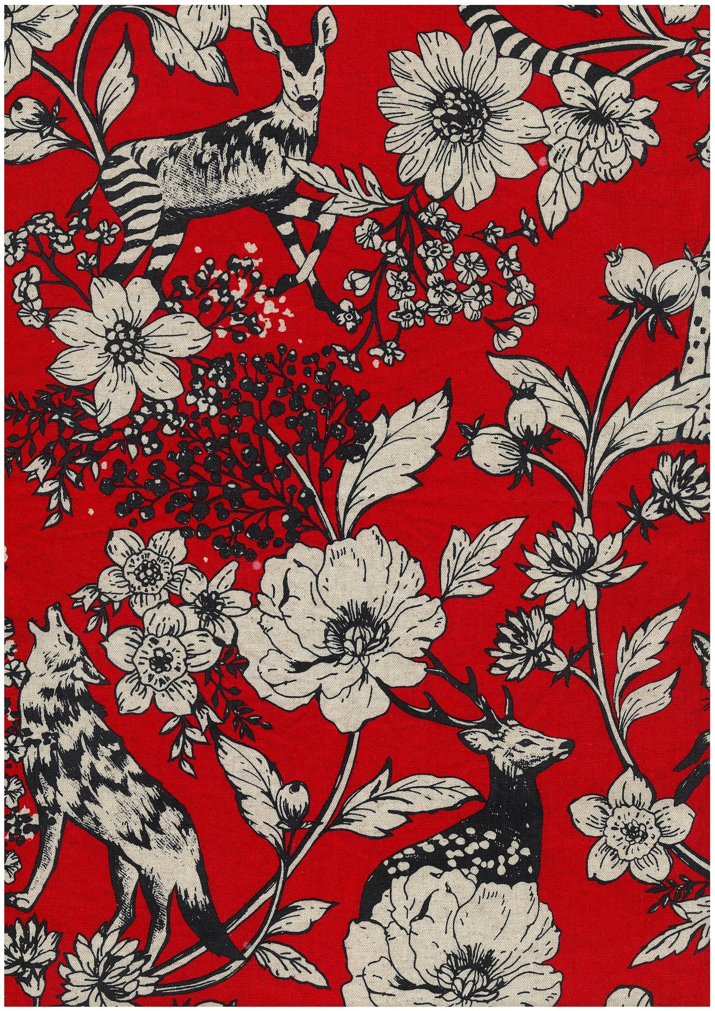 [Preorder Period: 24th March 2026] echino Wonder Cotton Linen Canvas EKX-98170-70