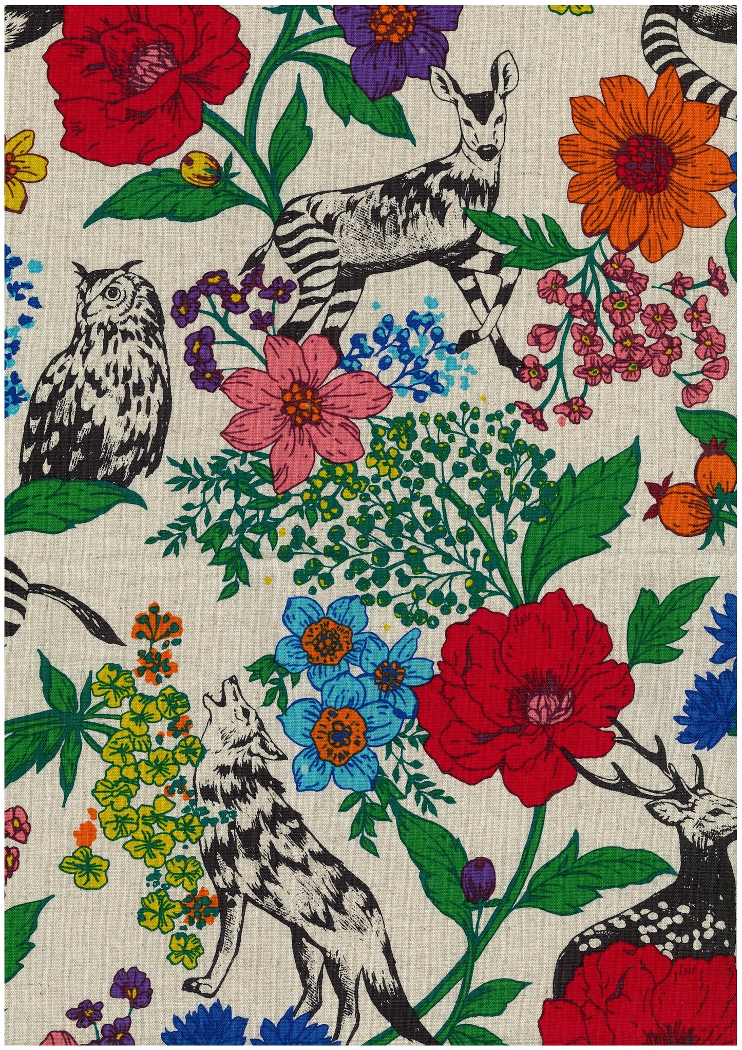 [Preorder Period: 24th March 2026] echino Wonder Cotton Linen Canvas EKX-98170-70