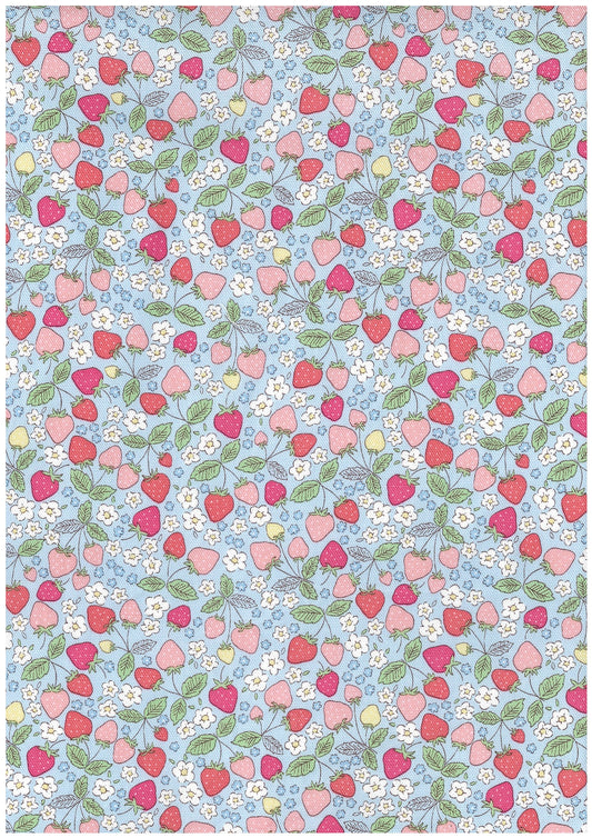 Dream Girl Strawberries Cotton Oxford YKA-49010-1