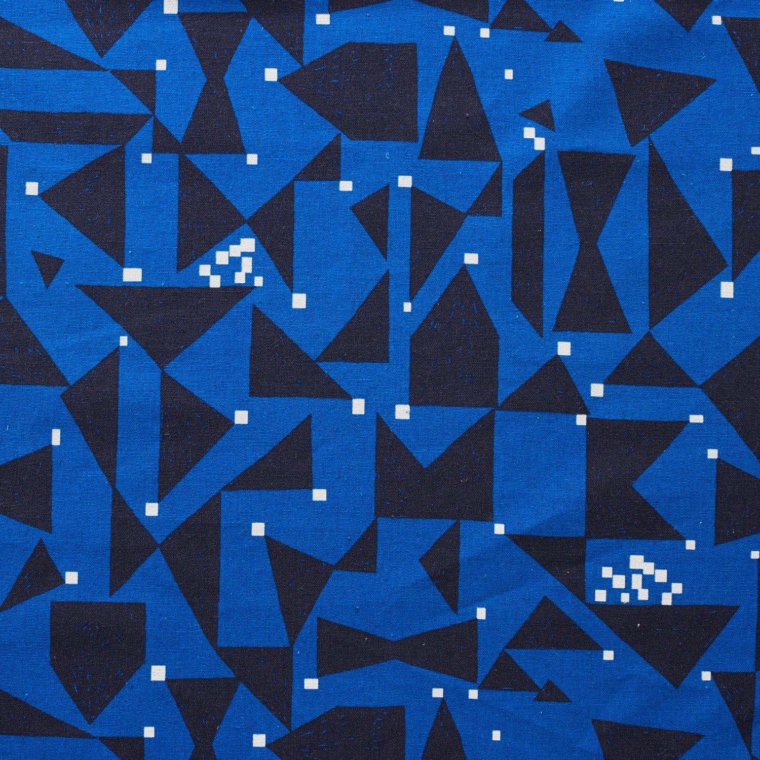 echino Patterns “Ground” Canvas