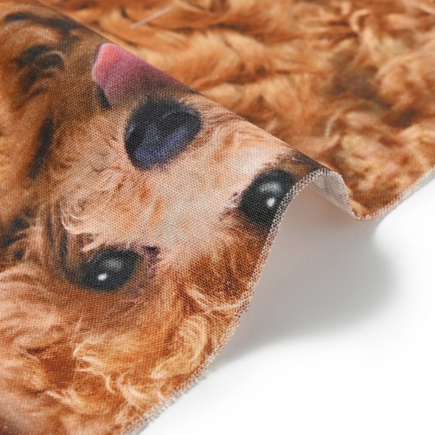 What do you make? (Poodle) Sheeting YPA-31000-1