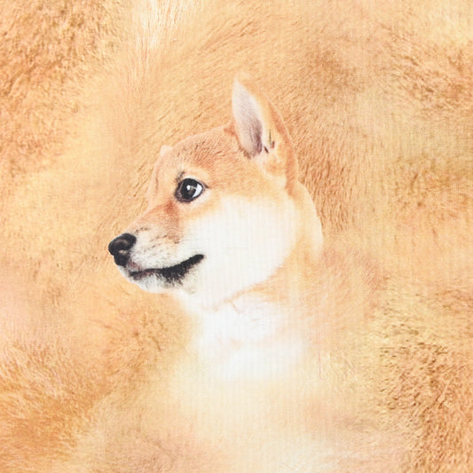 What do you make? (Shiba Inu) Sheeting YPA-31000-2