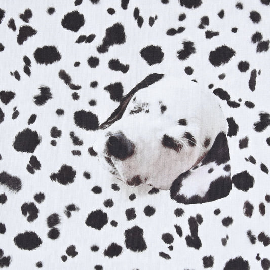 What do you make? (Dalmation) Sheeting YPA-31000-3